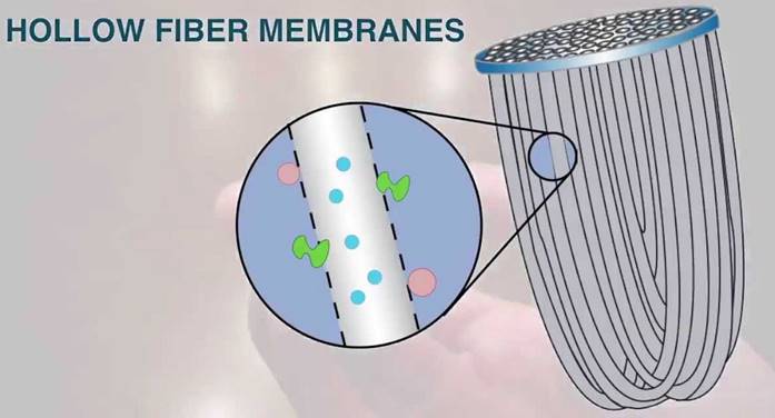 hollow fibre memebrane